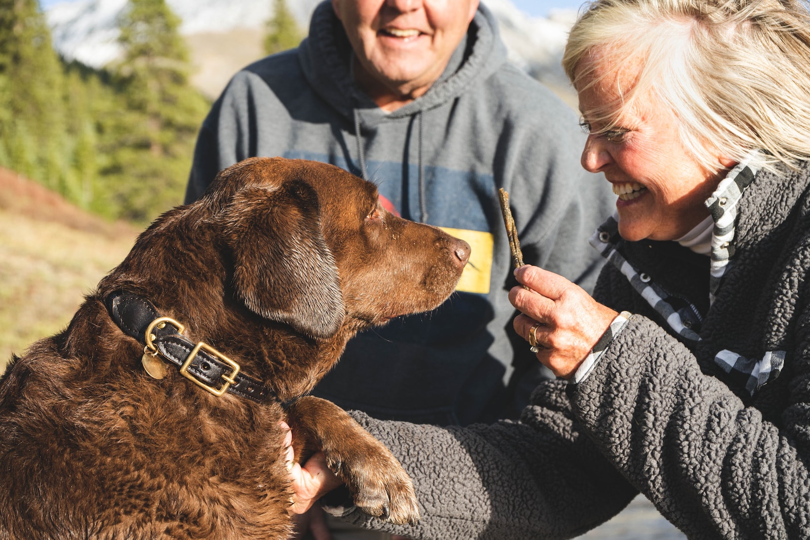 Pets and Aging: Benefits of Companion Animals