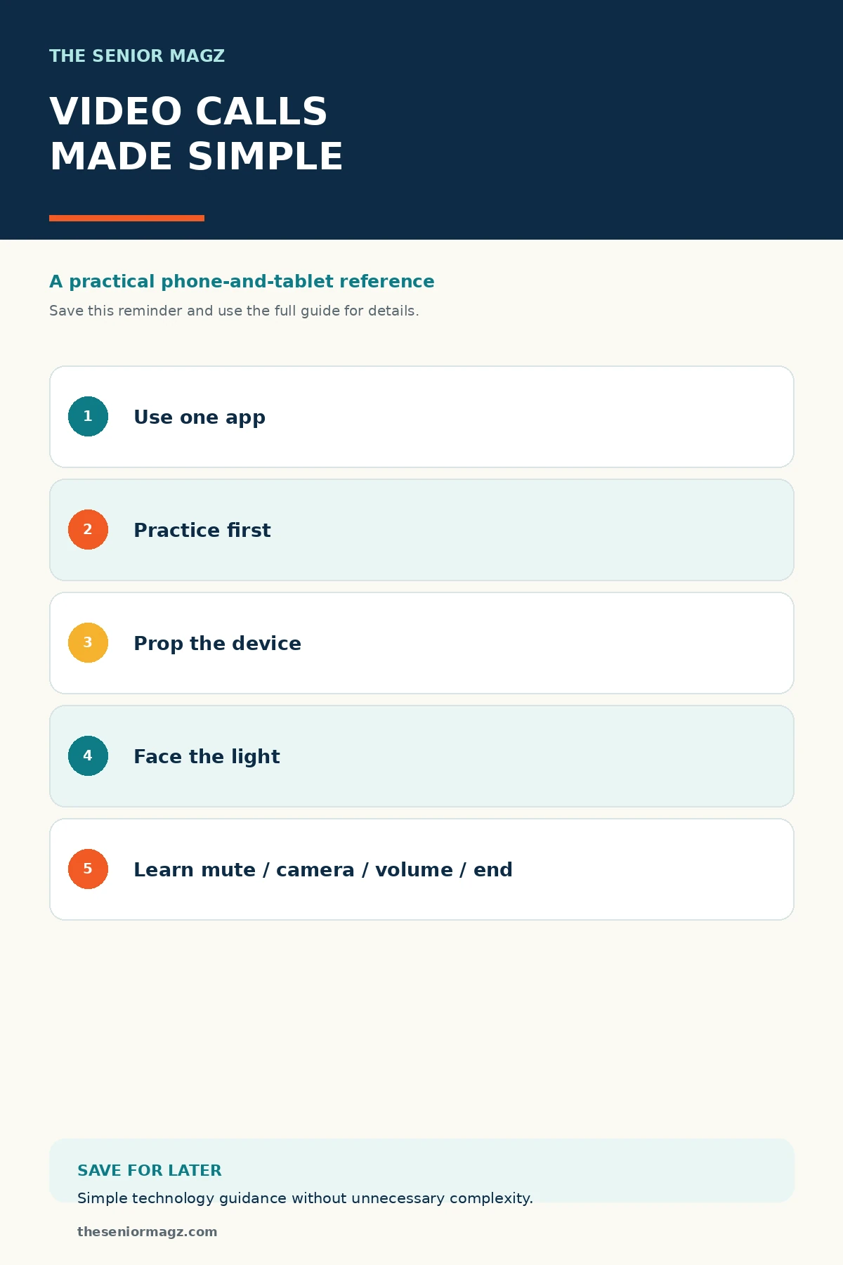 Standalone infographic summarizing How to Make Video Calls.