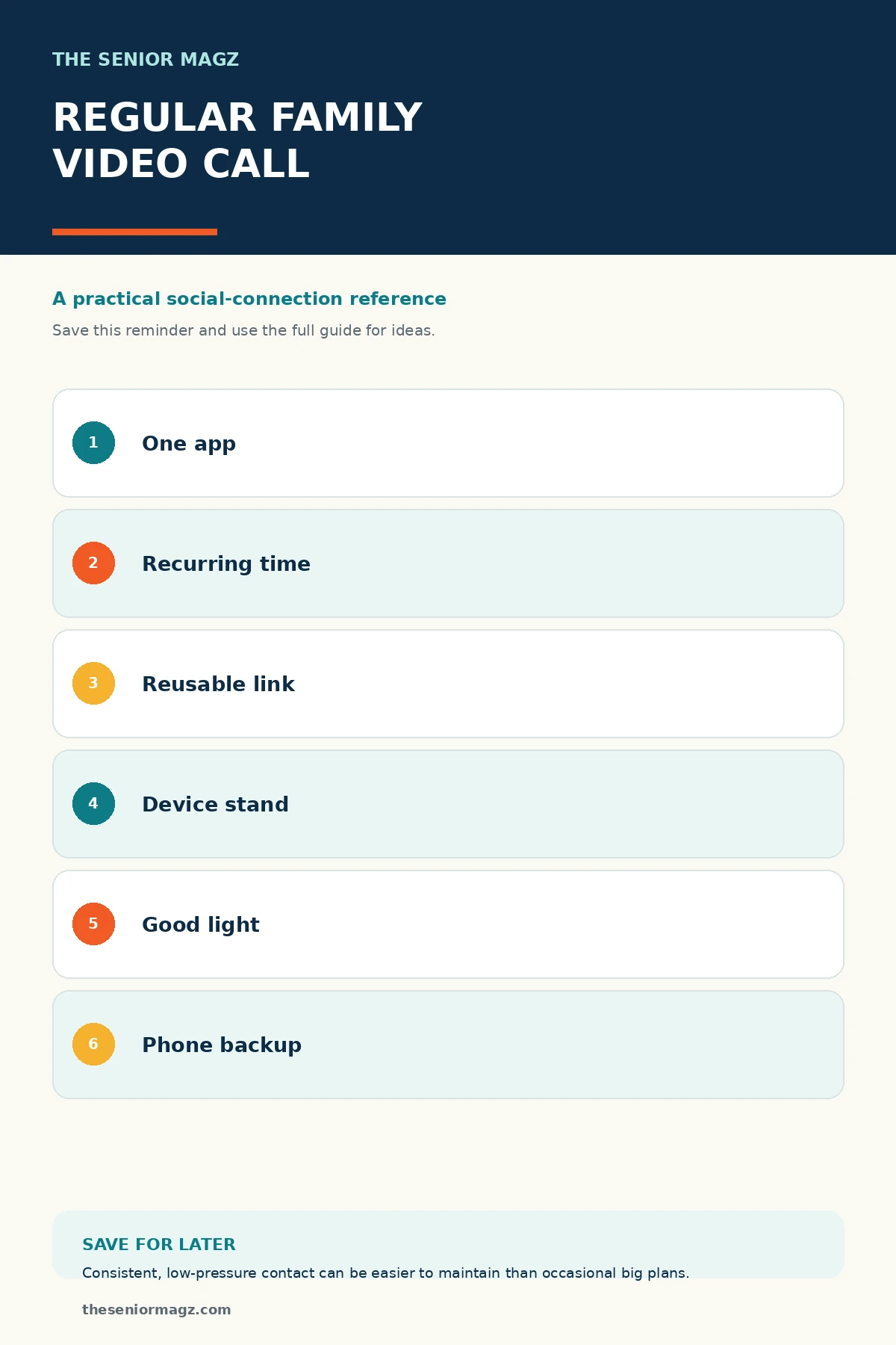 Standalone infographic summarizing How to Set Up a Regular Family Video Call.